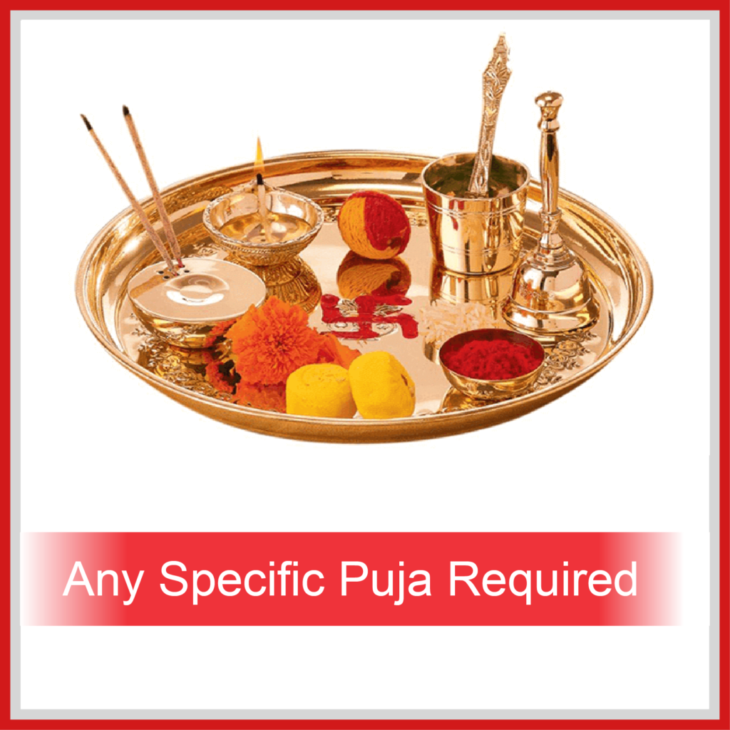 Any Specific Puja Required?